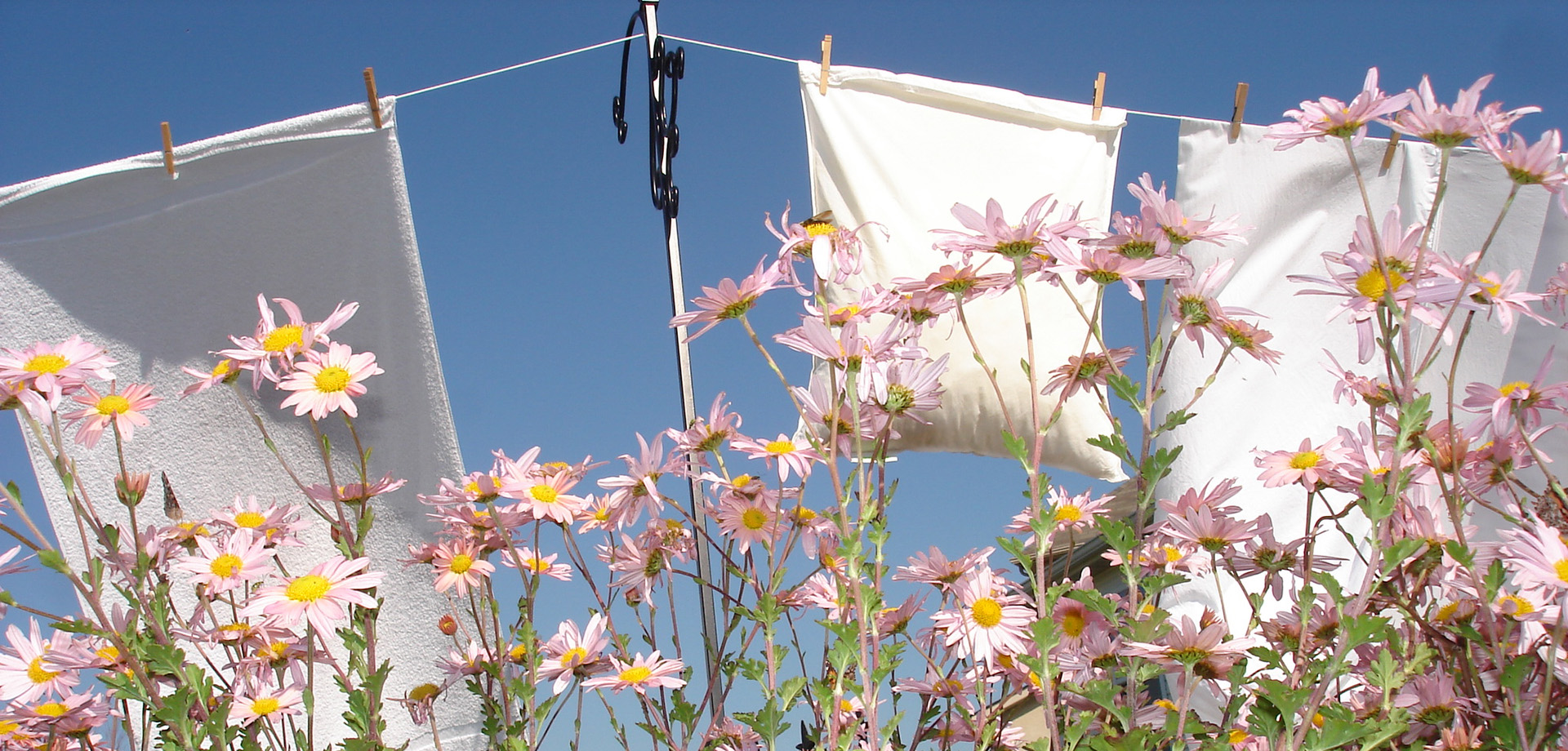 Laundry-LR